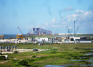 The tower of the Coelacanth project being built